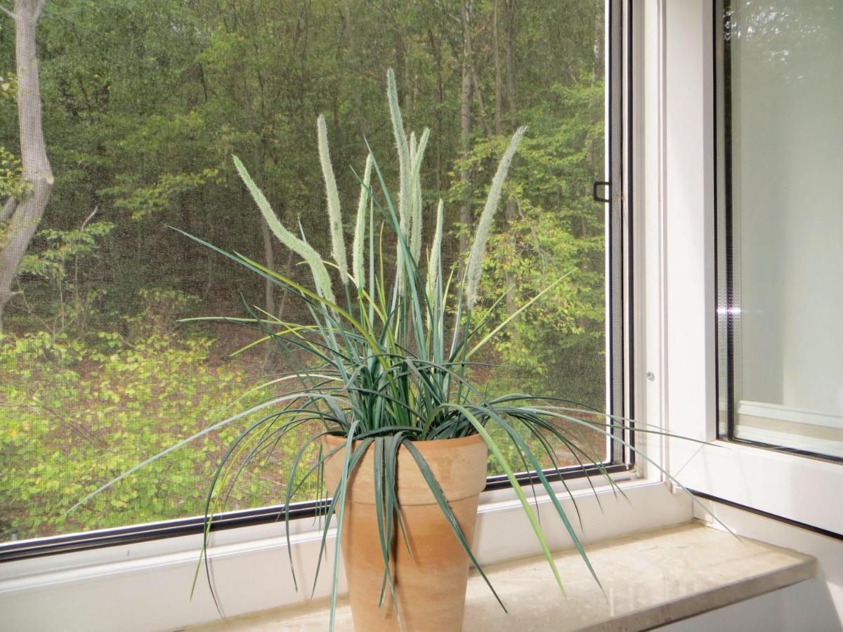 Weisses-Haus-Am-Kurpark-Fewo-Waldblick Quedlinburg Eksteriør bilde